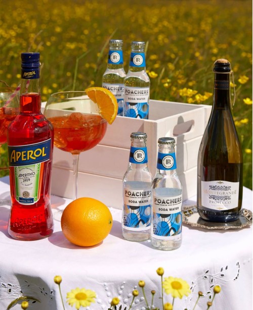 Because You Love Aperol Spritz Gift Hamp...
