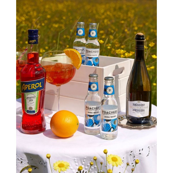 Because You Love Aperol Spritz Gift Hamp...