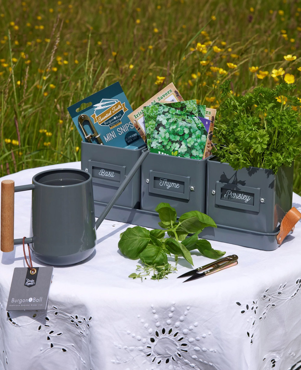 Kitchen Herb Garden Gift Set